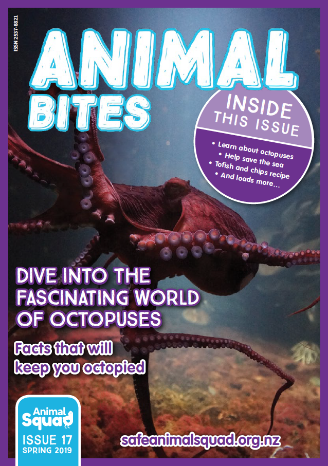 All about Octopuses