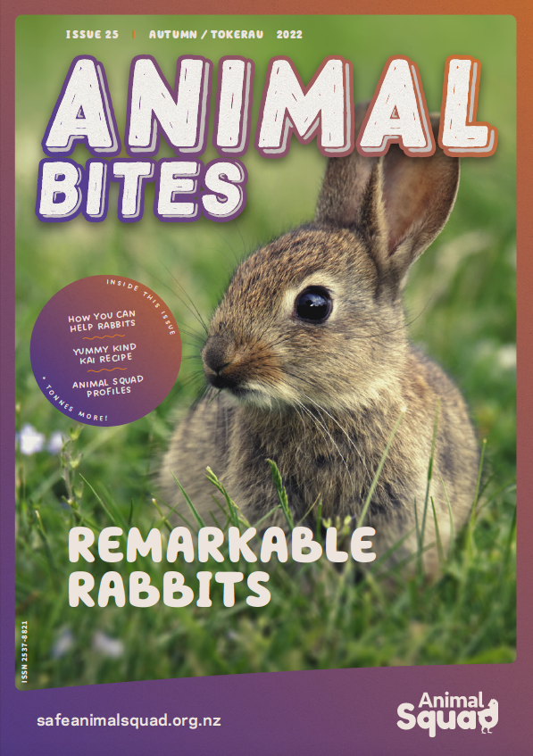 Remarkable Rabbits